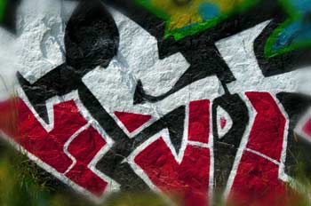 21stCH12 21st Century Hieroglphyics