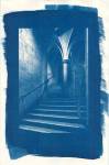 Cyanotype01