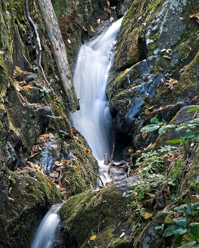 Dark Hollow Falls, Shendandoah National Park