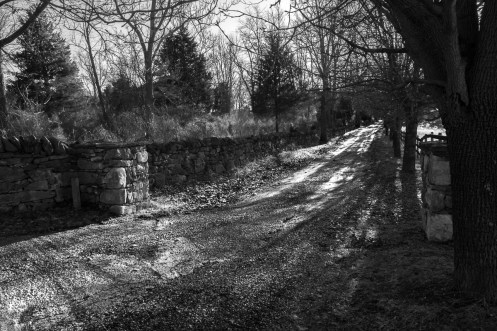 011214-SchoolhouseRidge-279