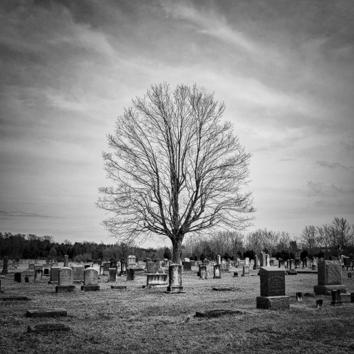 132814-GH3-Middleway-050-Edit