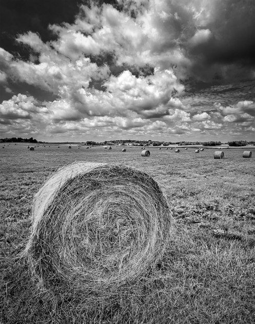 A Sure Sign of Summer