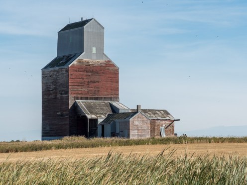 091215-Rugby-Williston-119-HDR